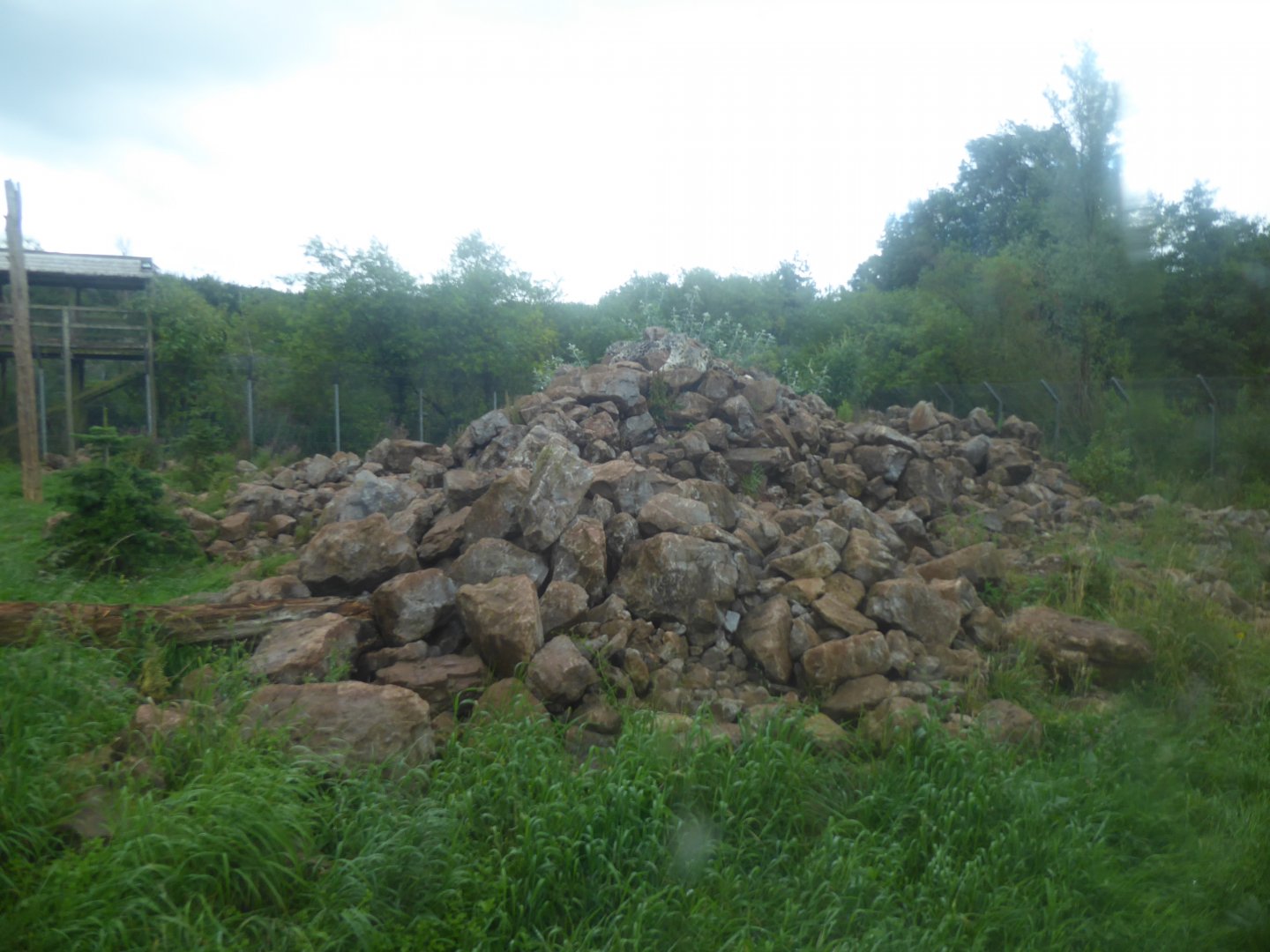Snow leopard enclosure 020817