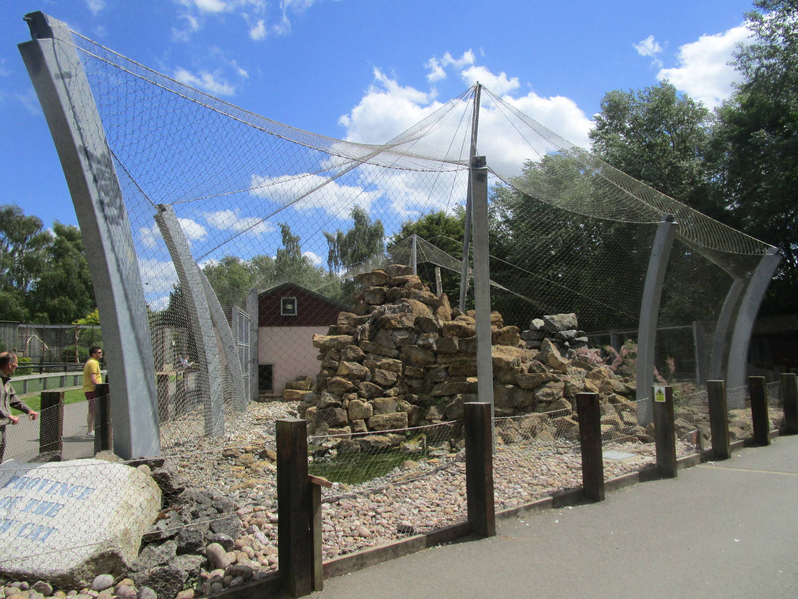 Snow Leopard Enclosure - 06/06/15