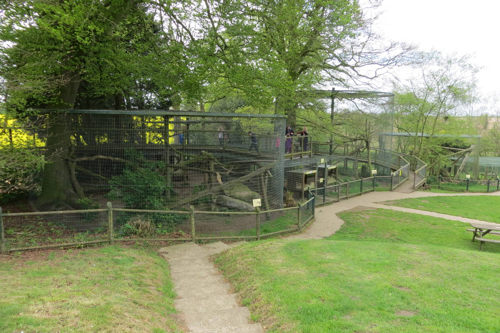 Snow Leopard Enclosure 060515