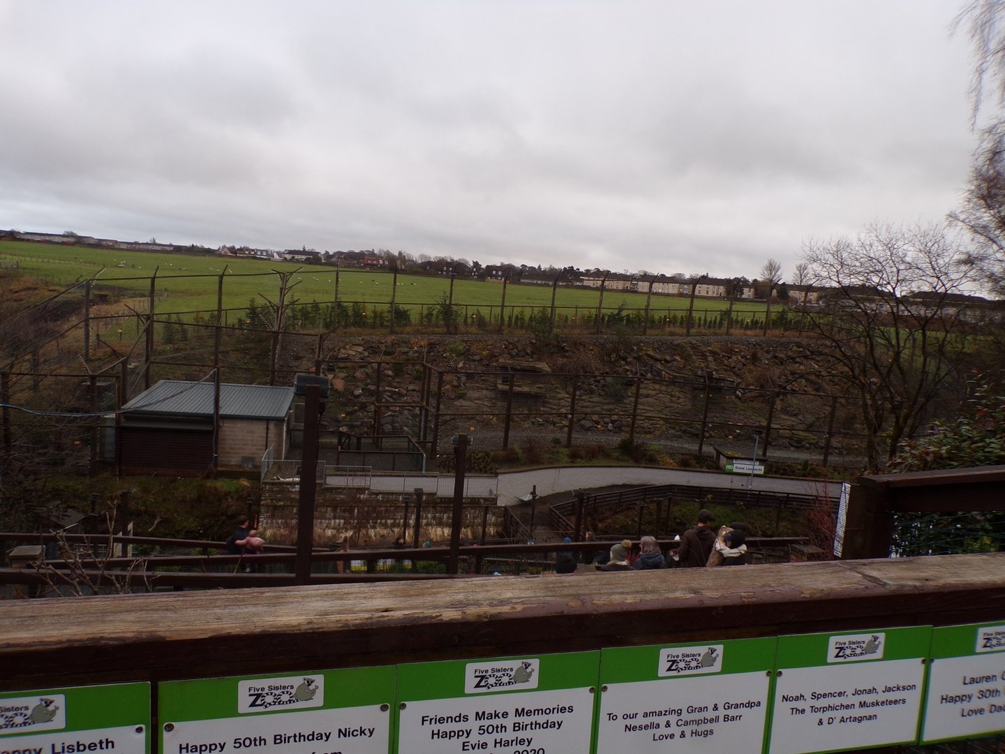 Snow leopard enclosure 1.1.23