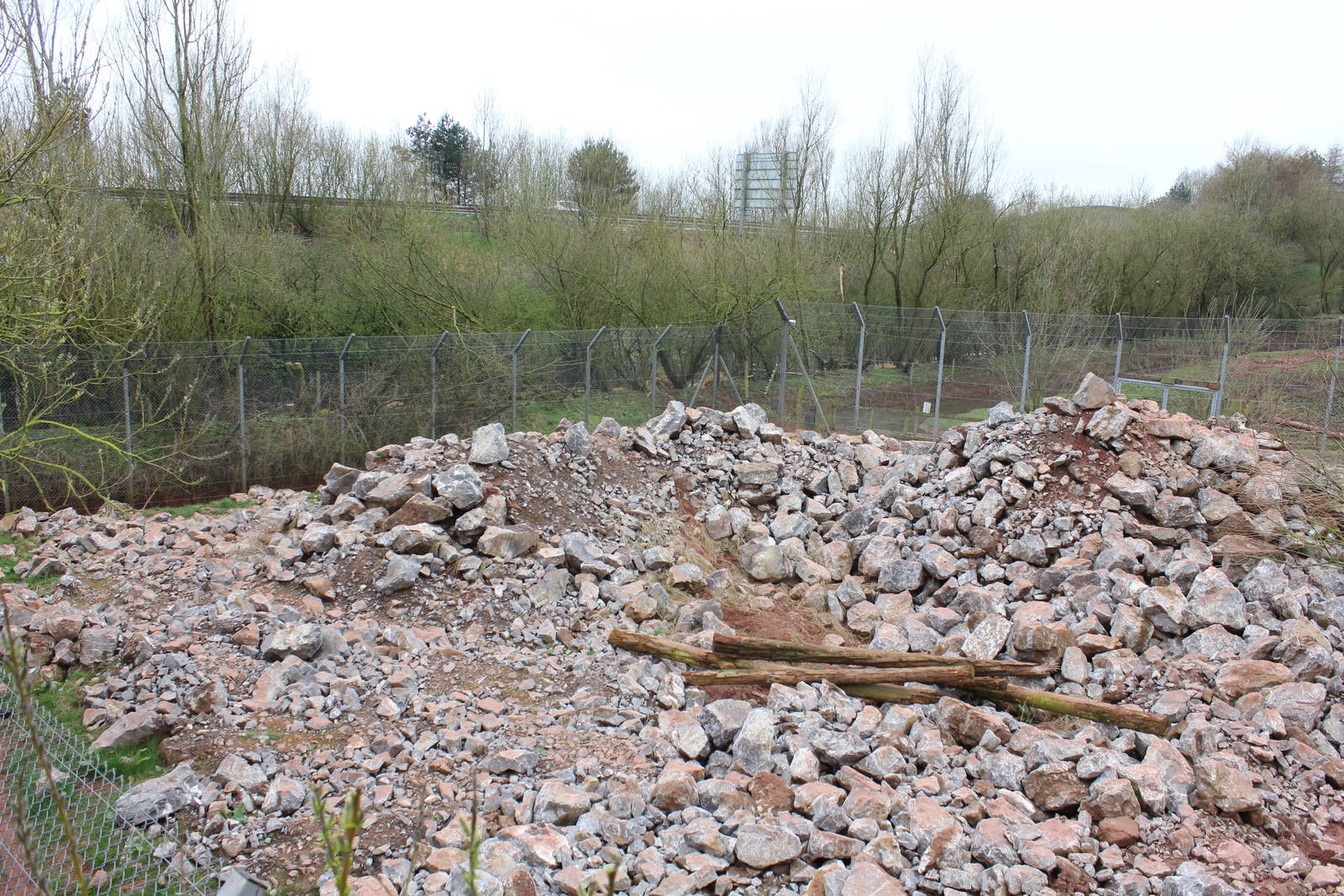 Snow Leopard enclosure.1-4-14