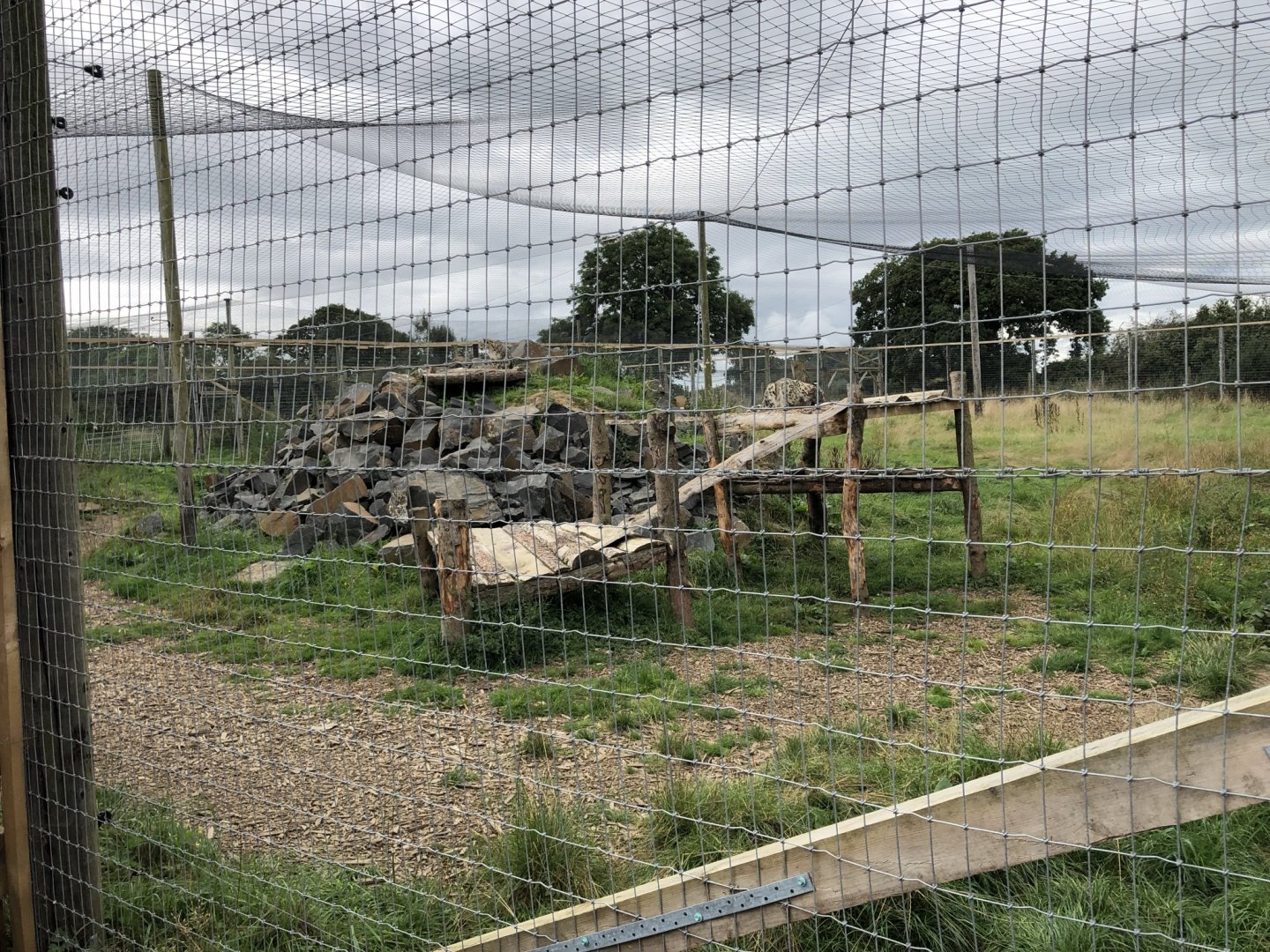 Snow Leopard Enclosure #1 at Northumberland Country Zoo (September 2021)