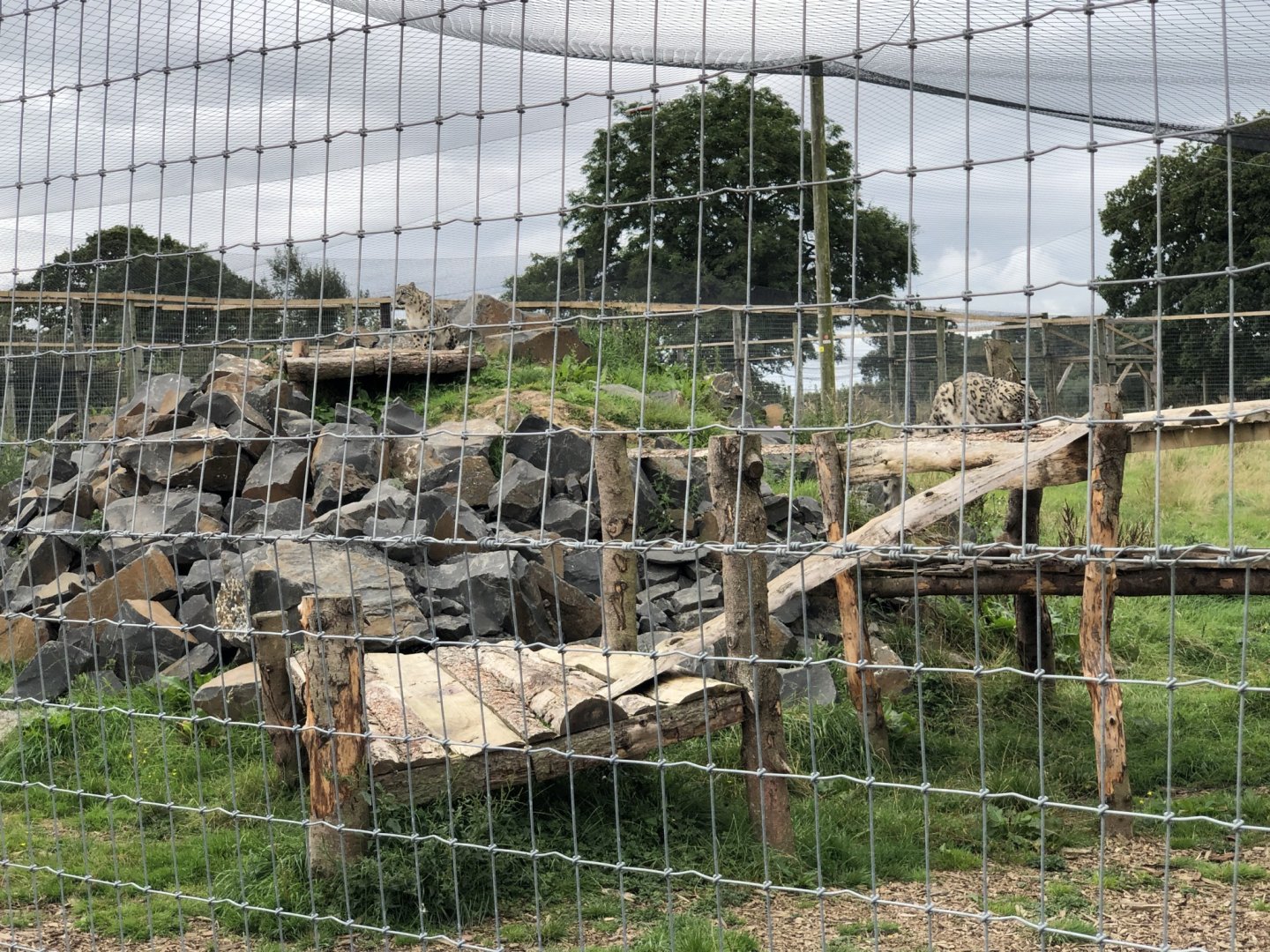 Snow Leopard Enclosure #1 at Northumberland Country Zoo (September 2021)
