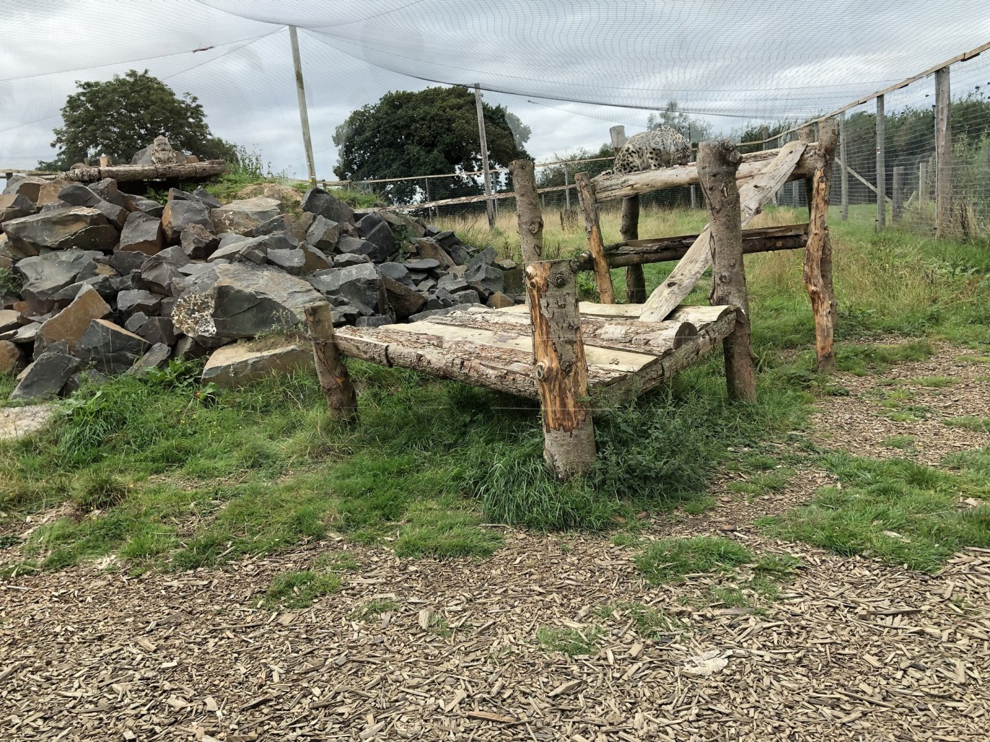 Snow Leopard Enclosure #1 at Northumberland Country Zoo (September 2021)