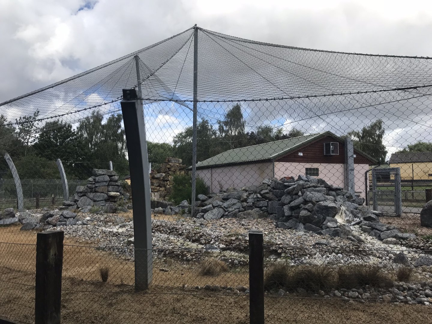 Snow leopard enclosure 100818