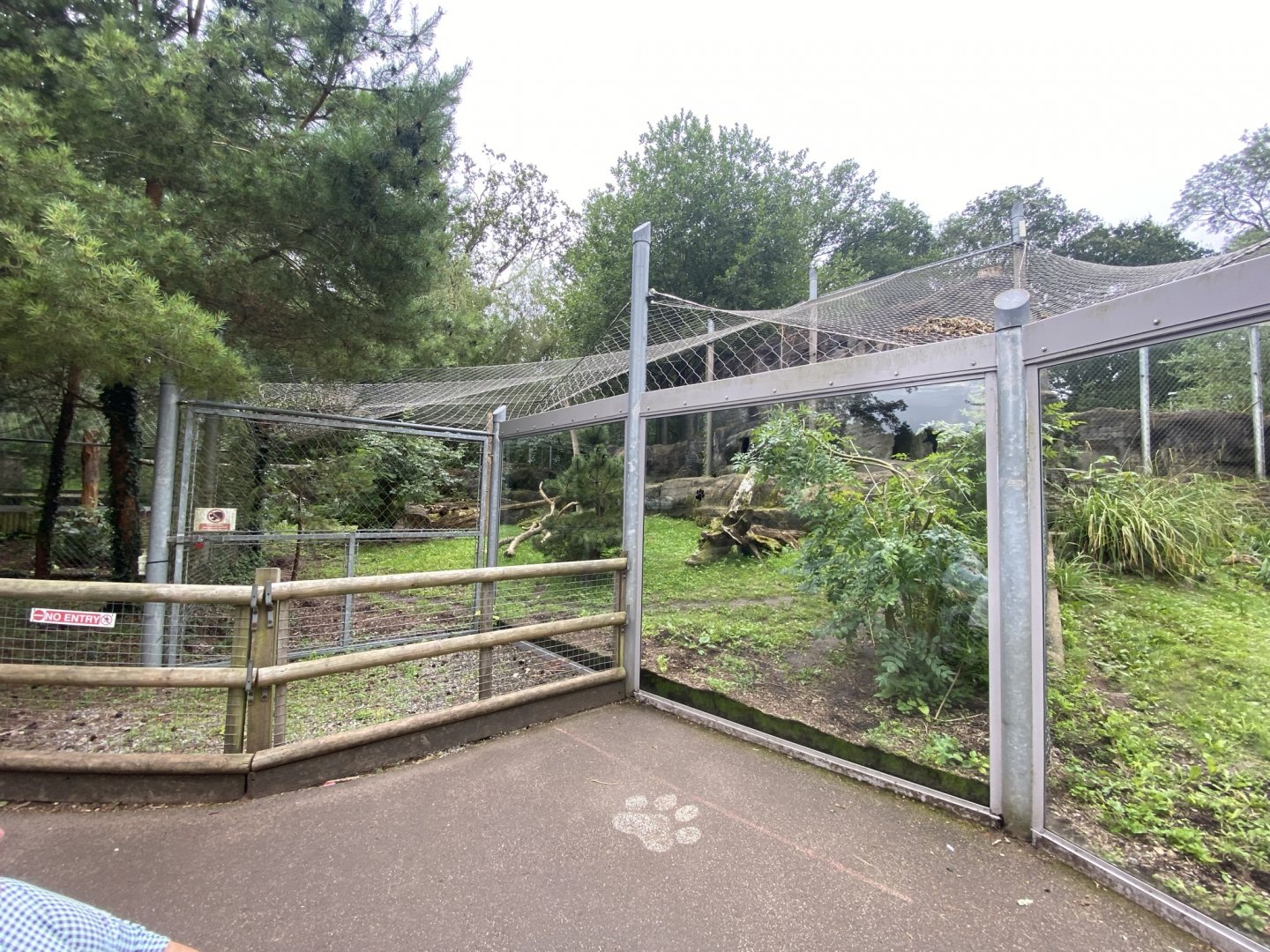 Snow leopard enclosure 120821