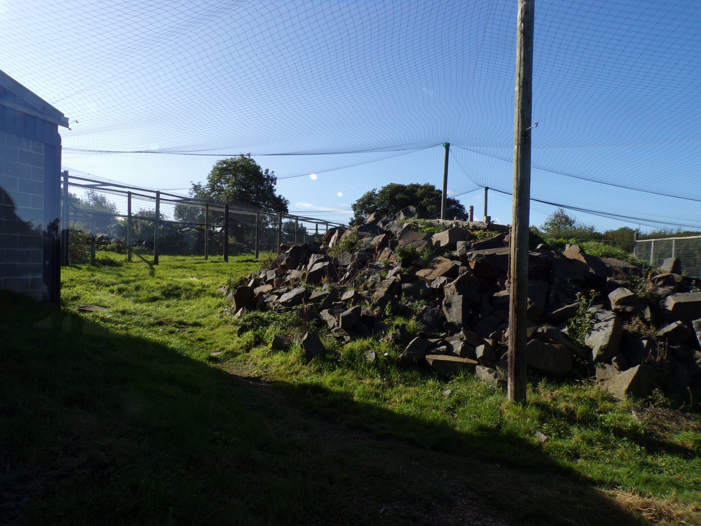 Snow leopard enclosure 14.10.23