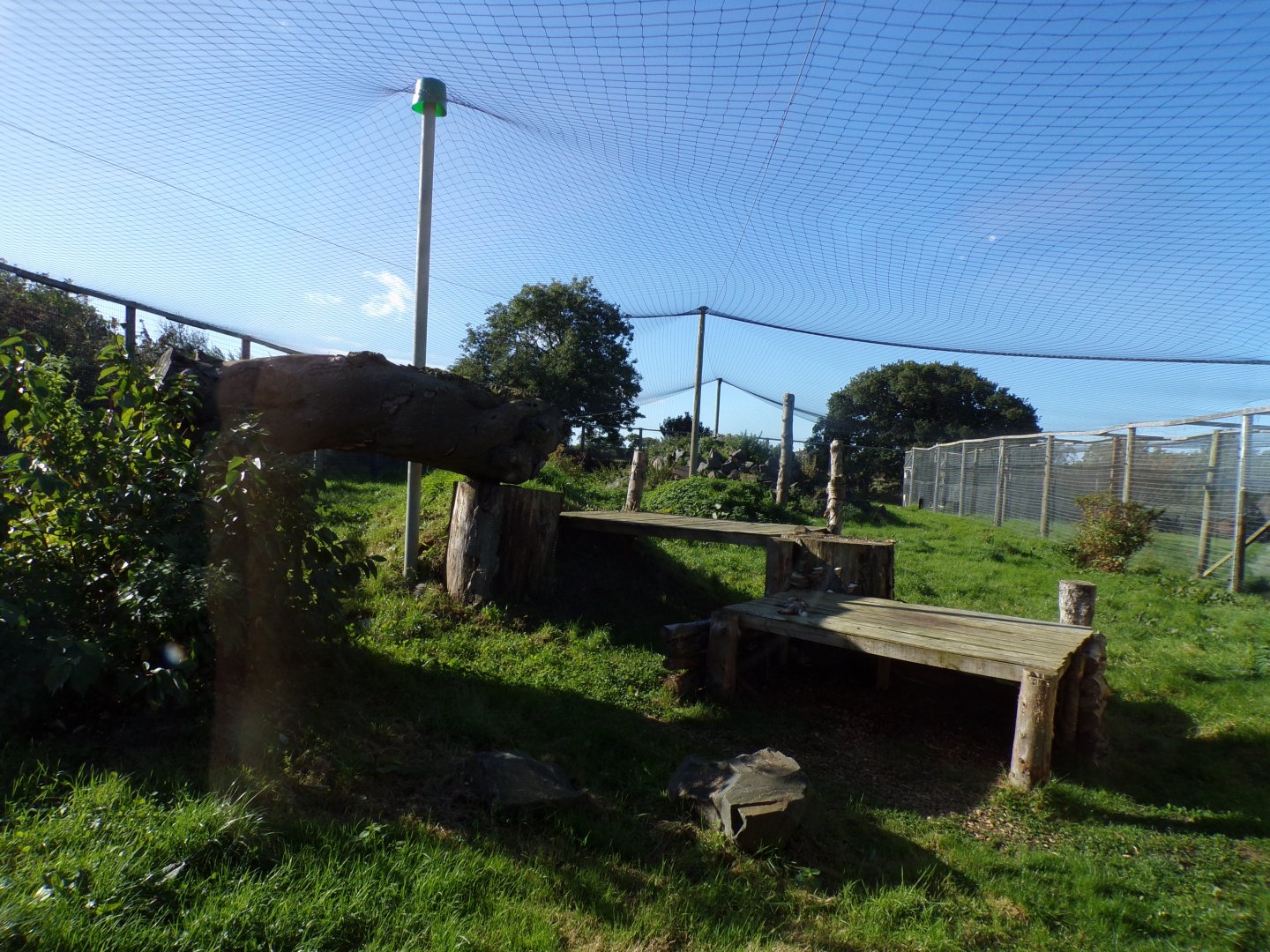 Snow leopard enclosure 14.10.23