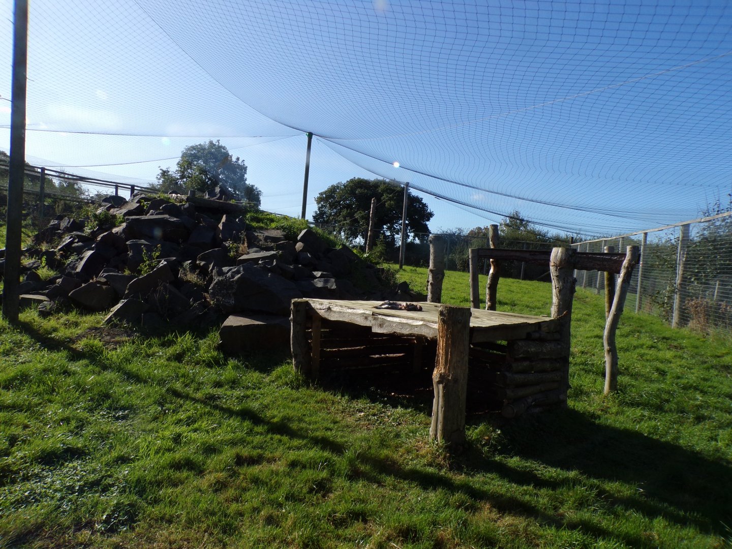 Snow leopard enclosure 14.10.23