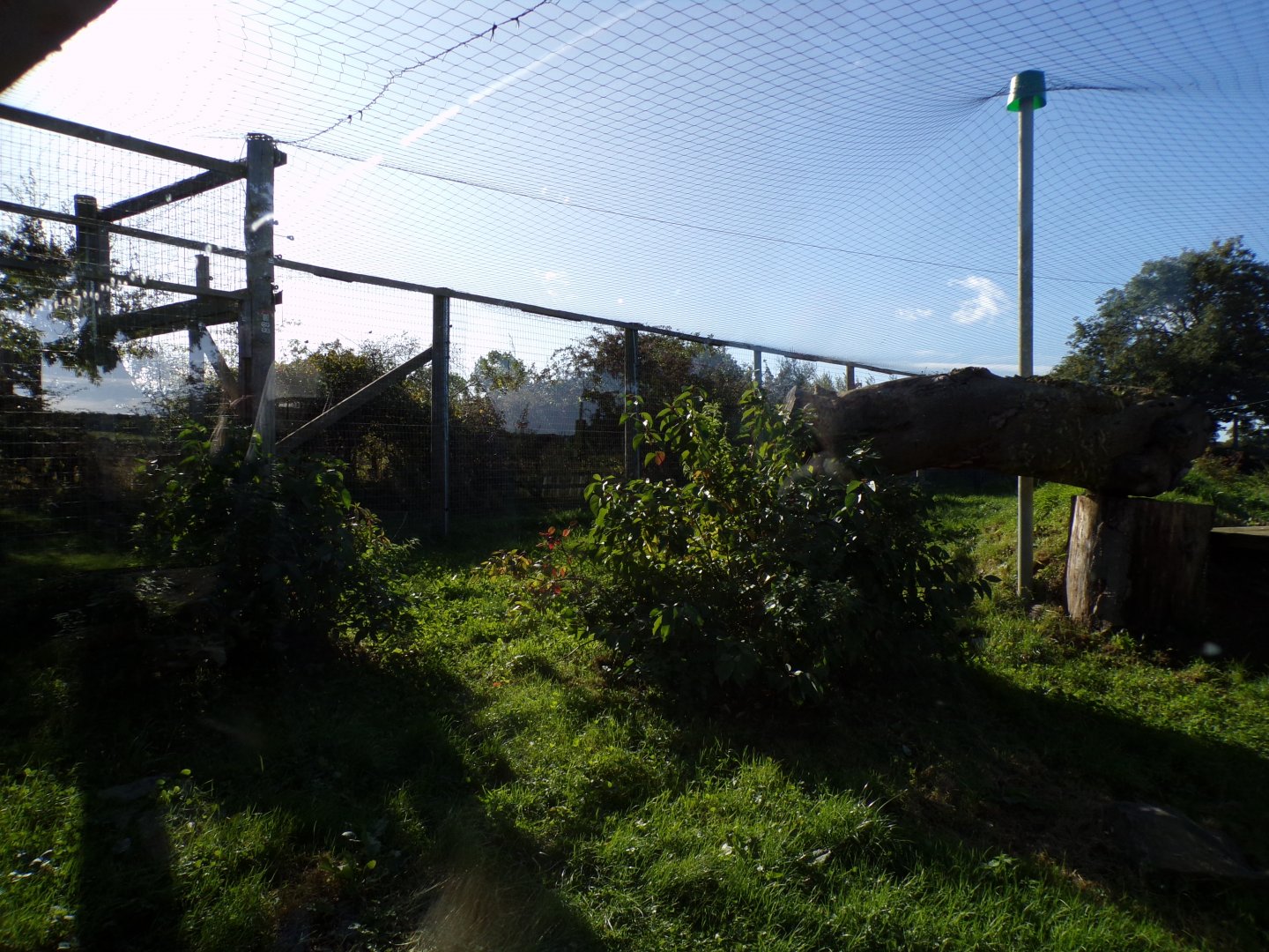 Snow leopard enclosure 14.10.23