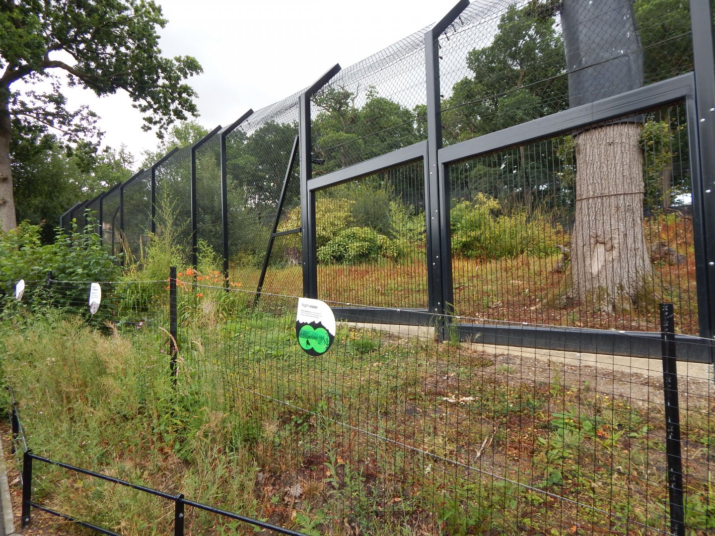 Snow leopard enclosure 150725