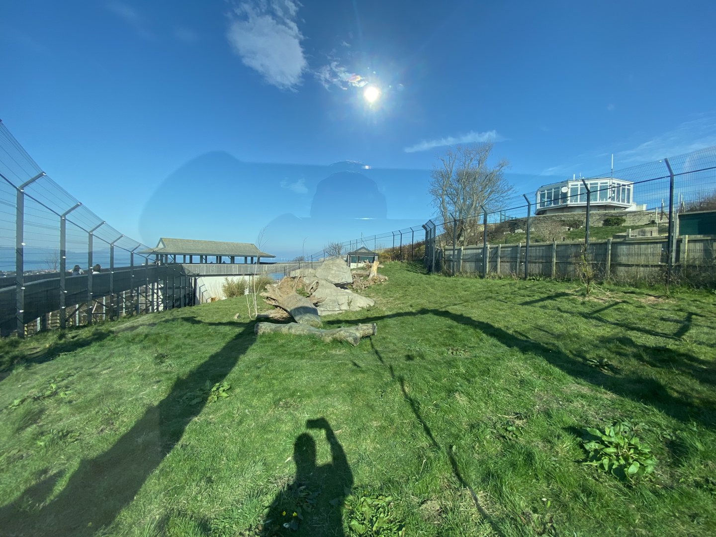 Snow leopard enclosure 190325