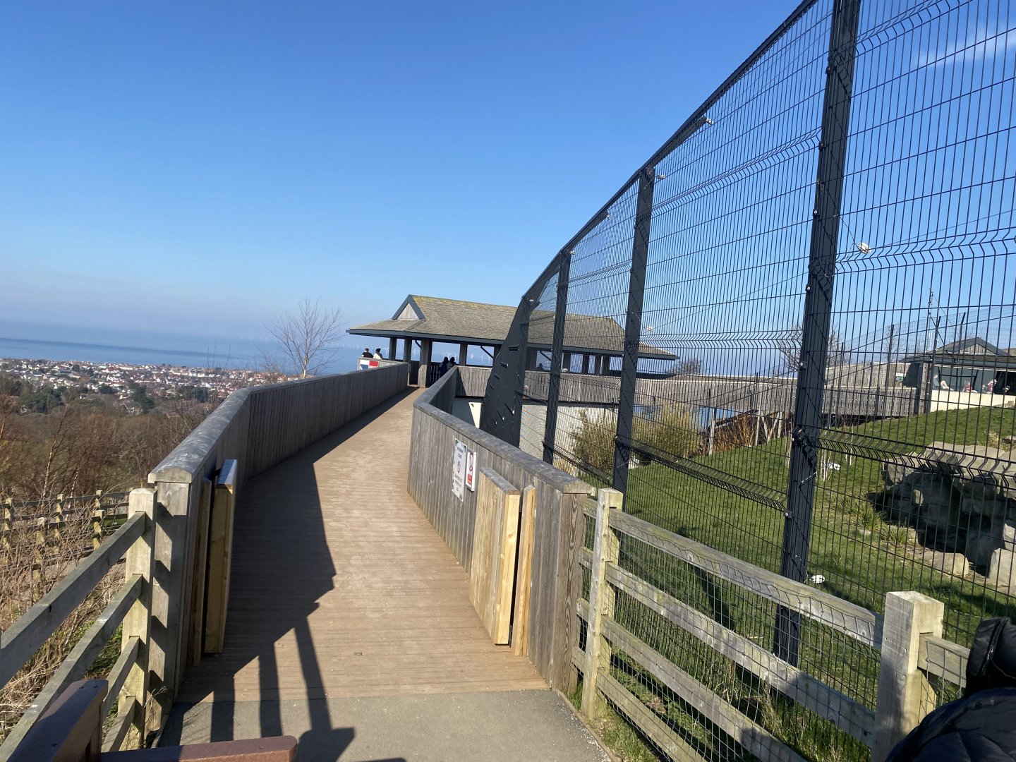 Snow leopard enclosure 190325