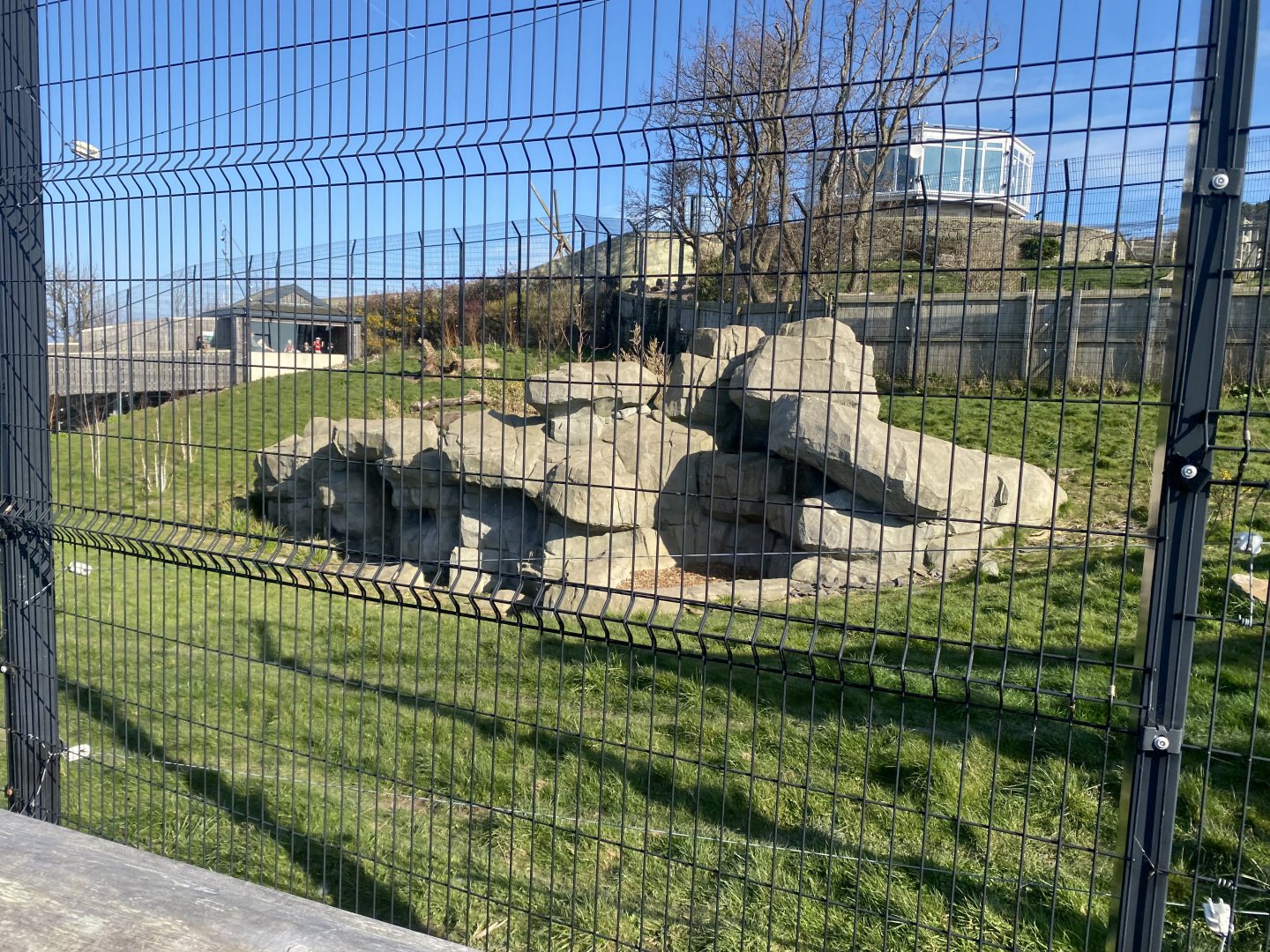 Snow leopard enclosure 190325