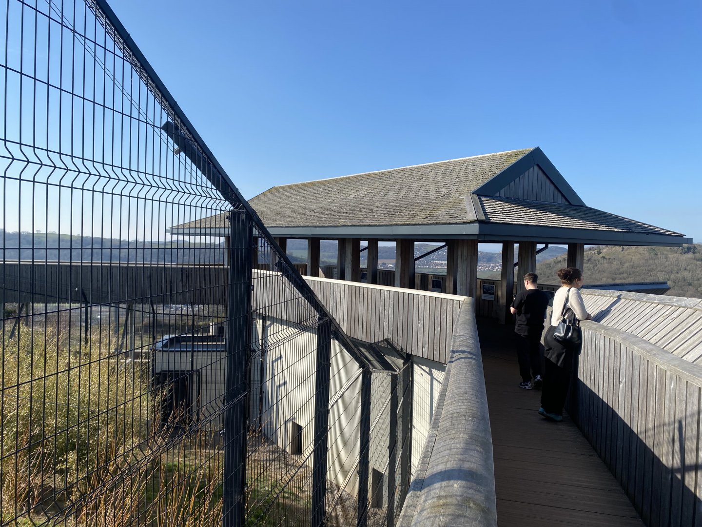 Snow leopard enclosure 190325