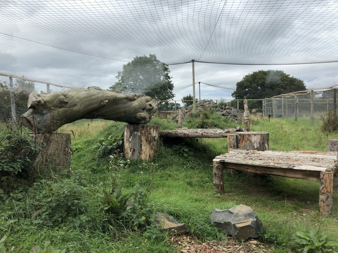 Snow Leopard Enclosure #2 at Northumberland Country Zoo (September 2021)