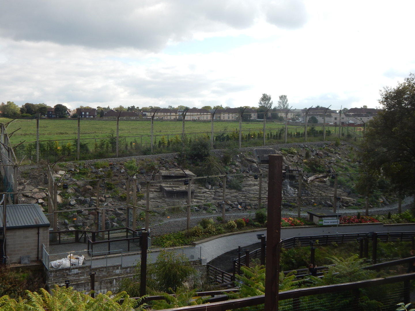 Snow leopard enclosure 200922