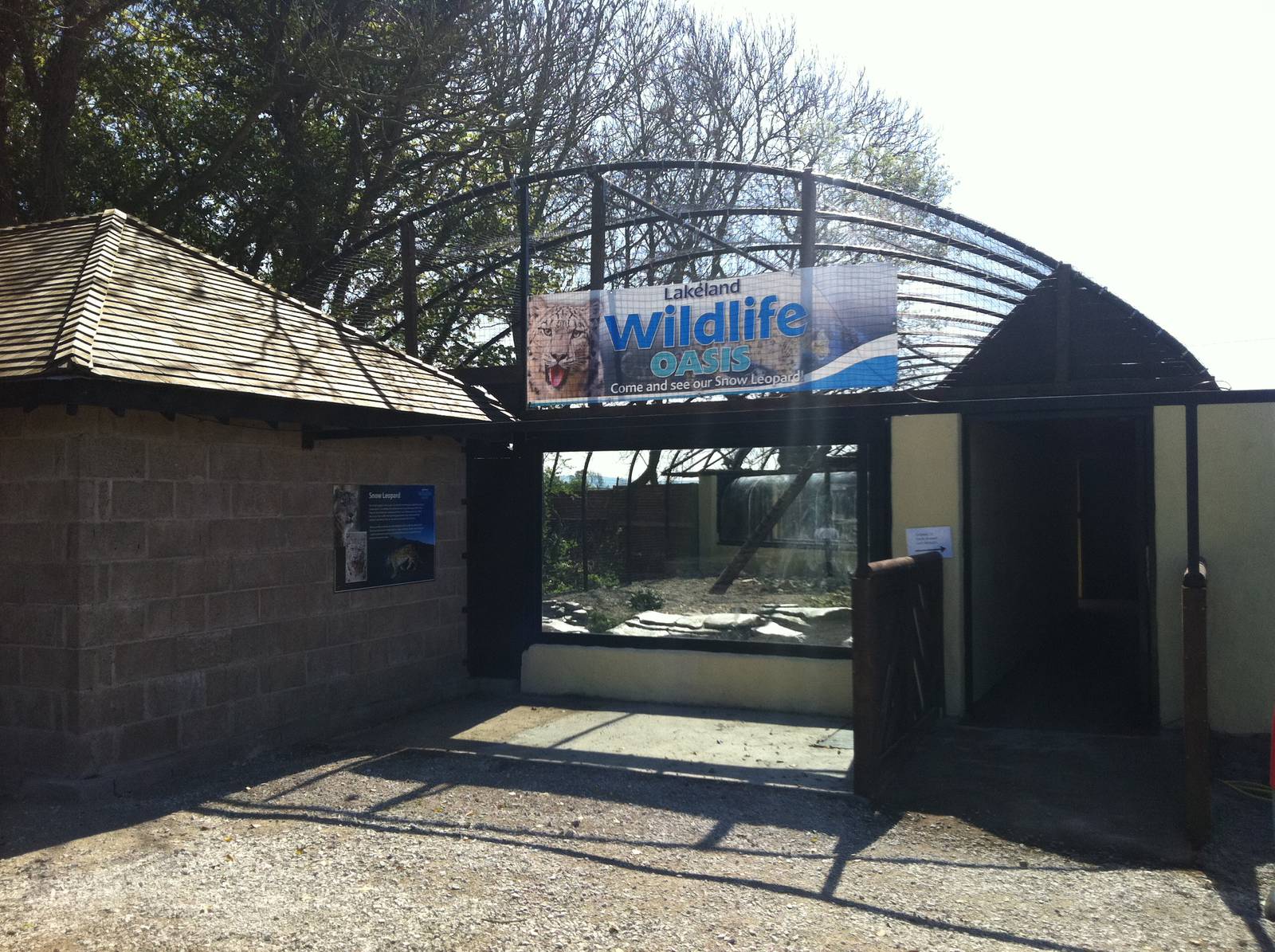 Snow Leopard Enclosure - 24th April 2011