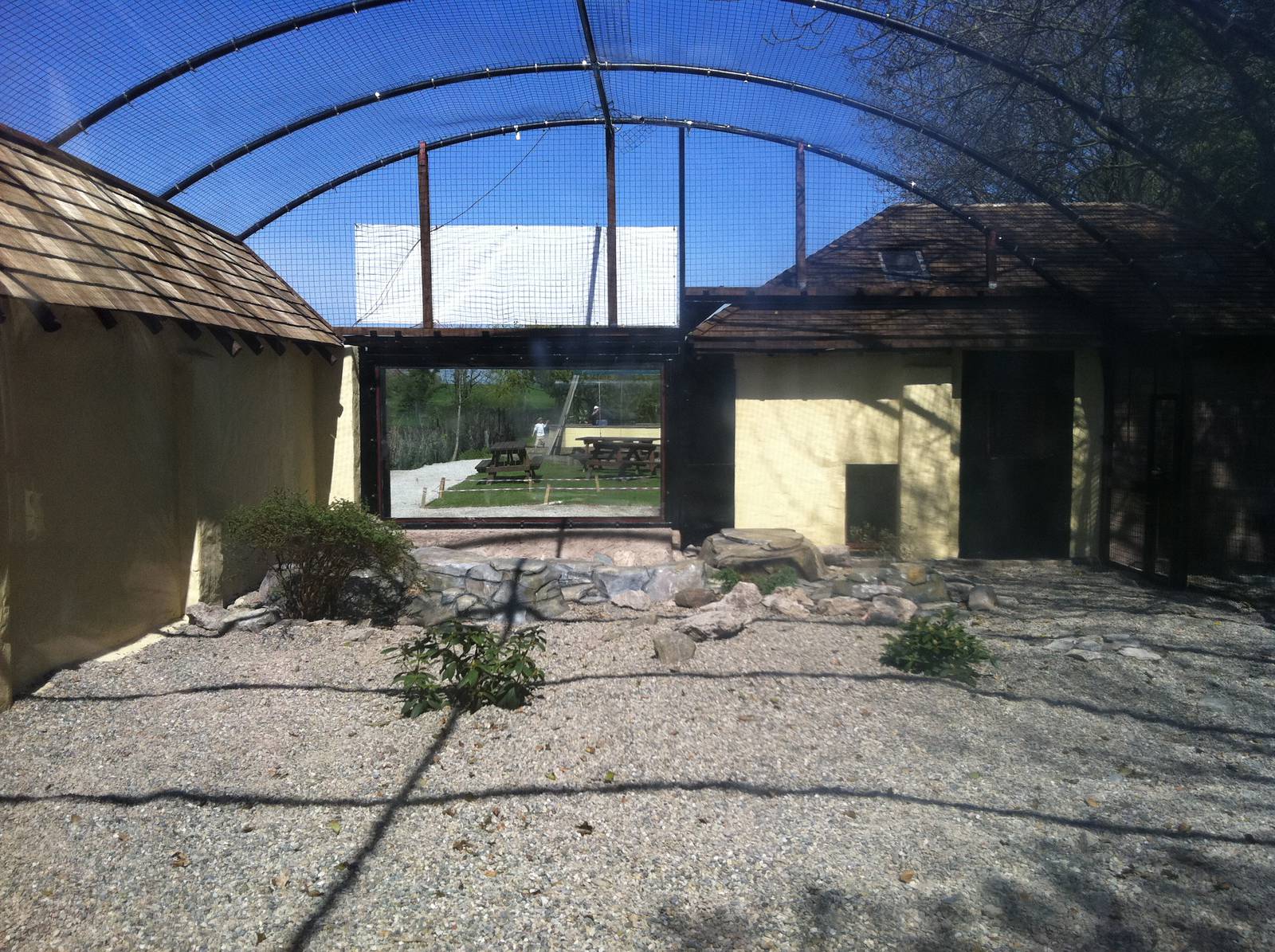 Snow Leopard Enclosure - 24th April 2011