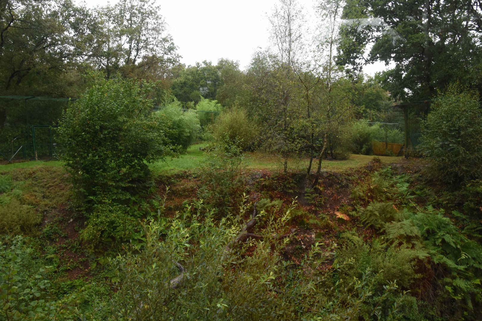 Snow Leopard enclosure 2nd view