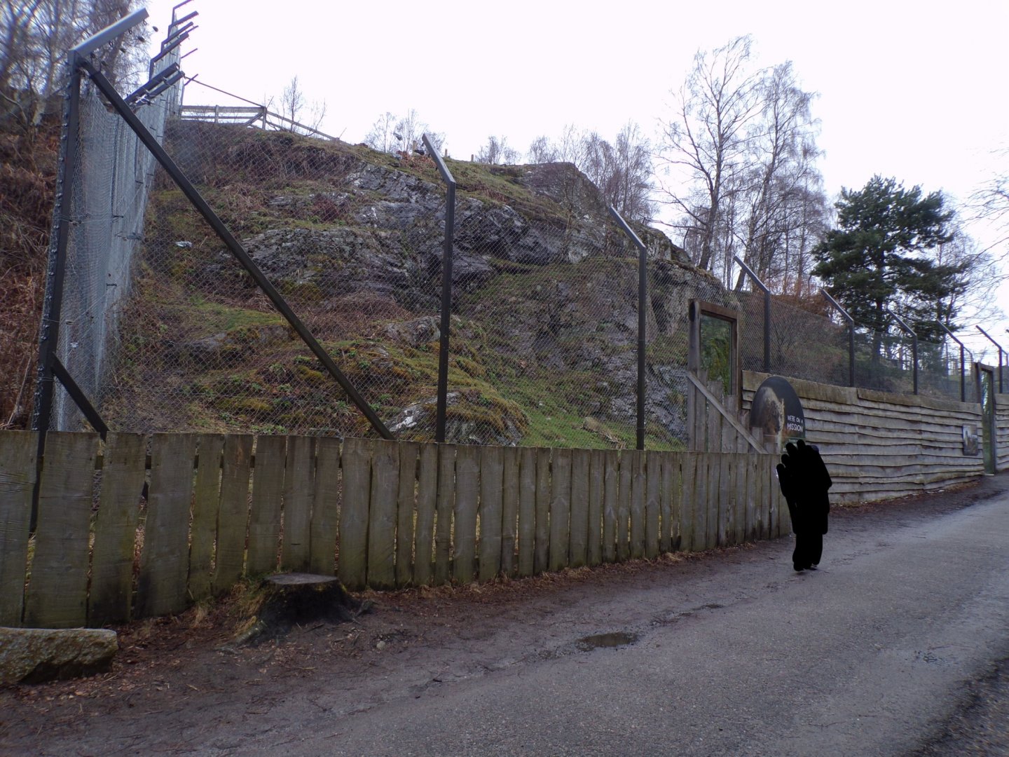 Snow leopard enclosure 5.4.24