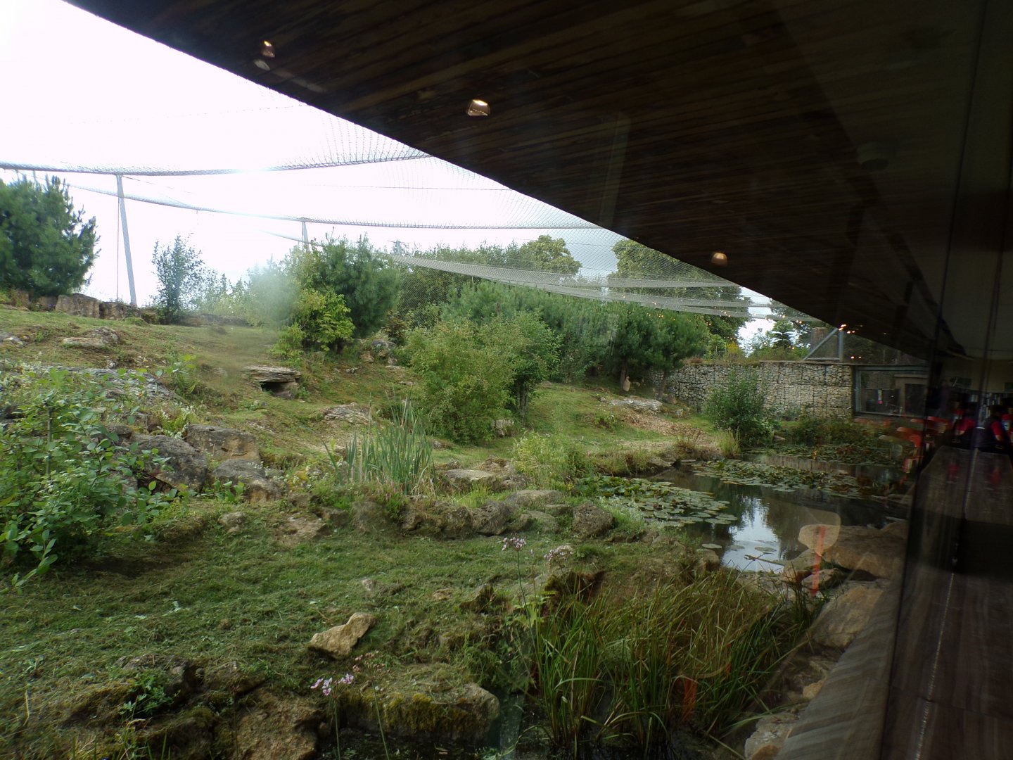 Snow leopard enclosure 7.7.24
