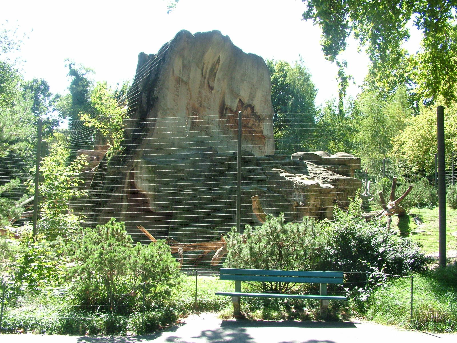 Snow Leopard enclosure at Basel Zoo 30/08/09