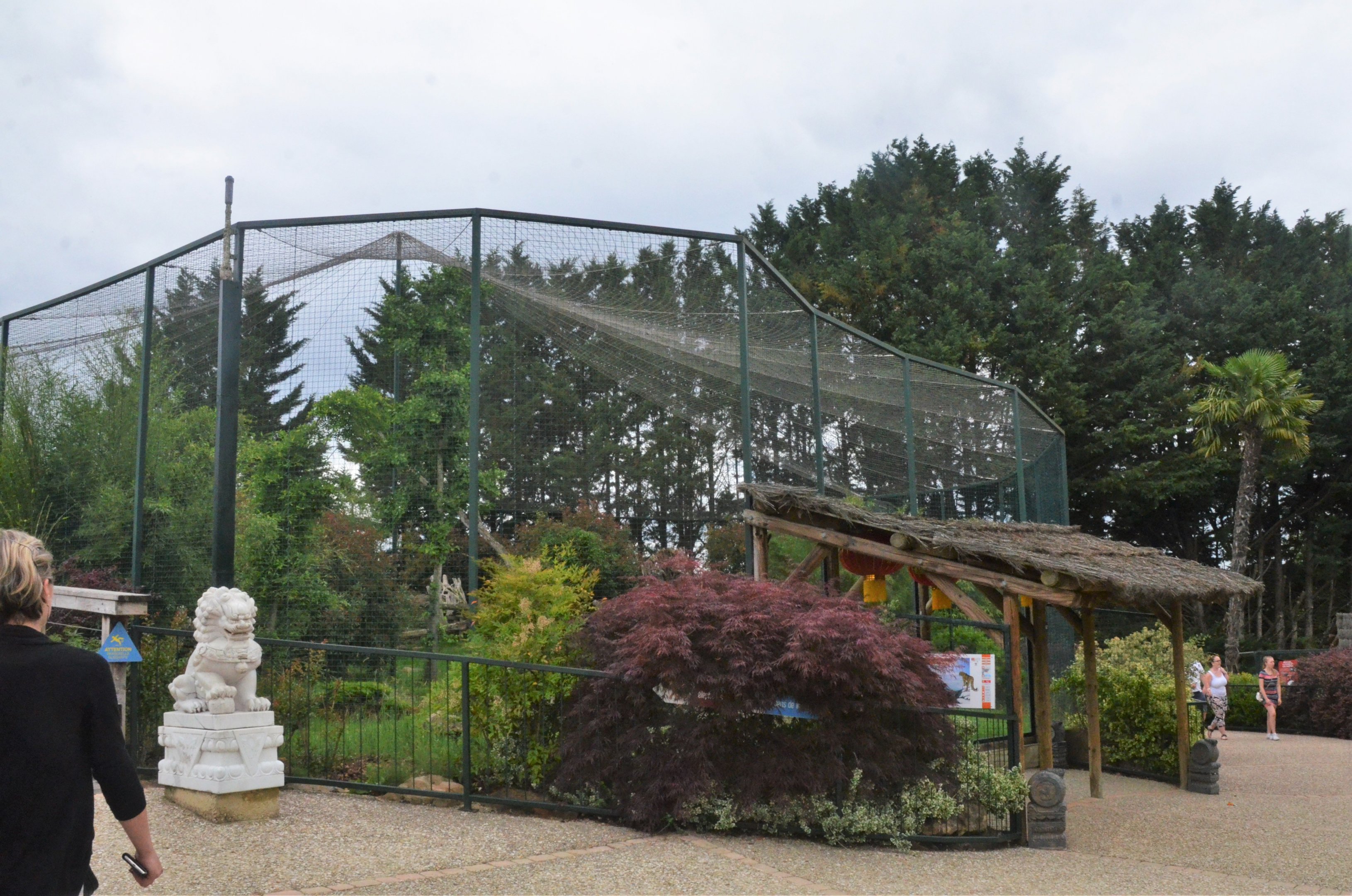 Snow Leopard Enclosure at Beauval, 12/06/18
