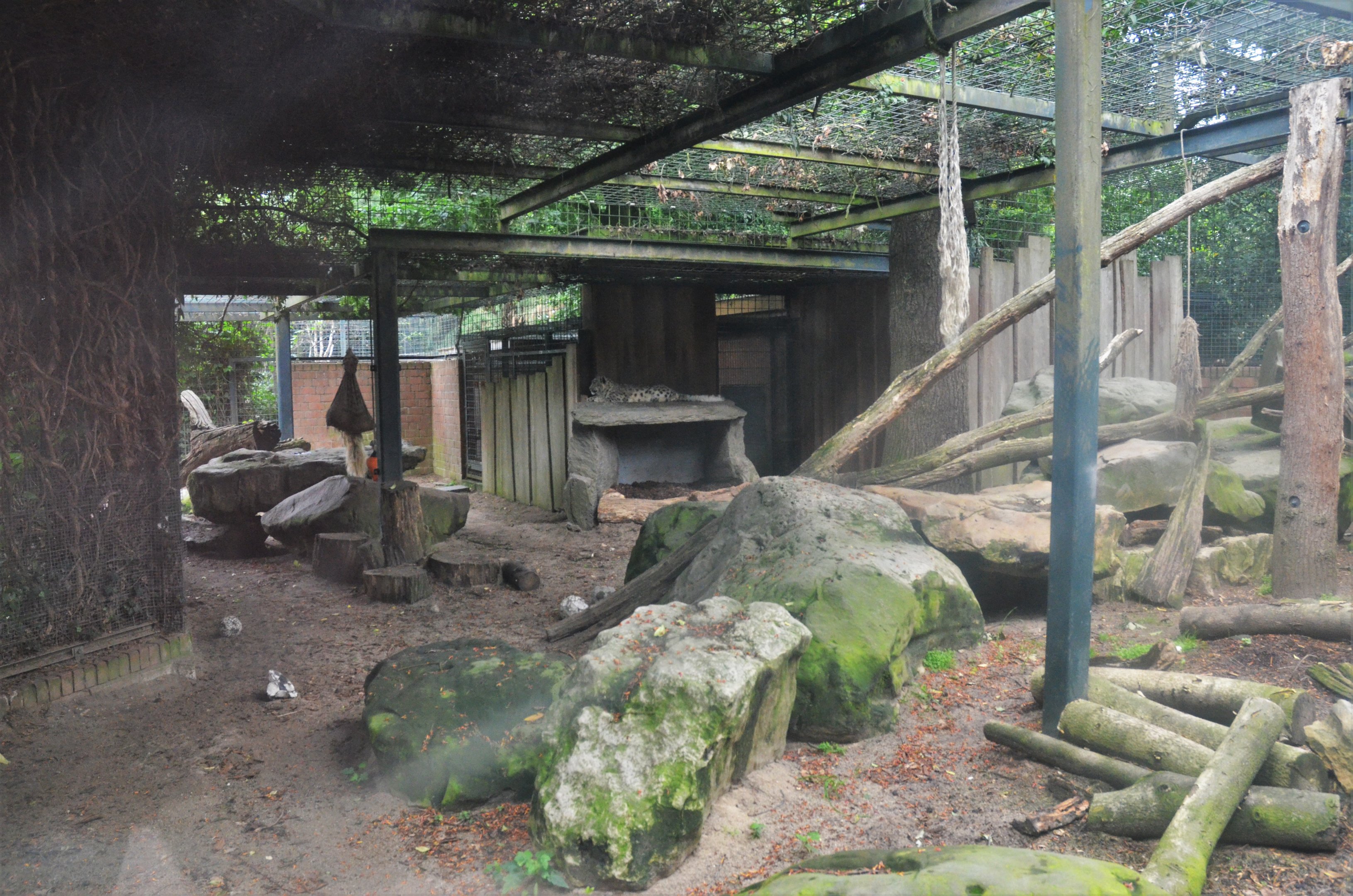 Snow Leopard Enclosure at Krefeld, 15/06/19