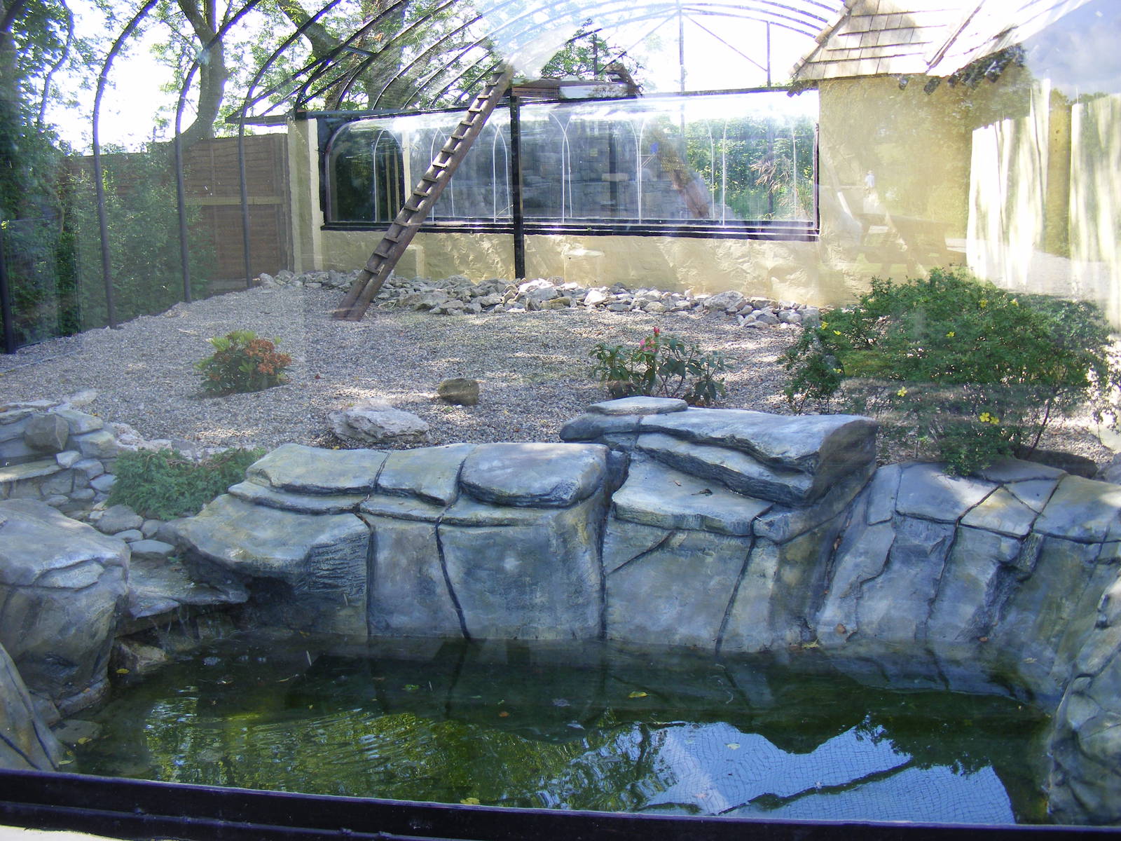 Snow leopard enclosure at Lakeland Wildlife Oasis, 14 June 2011