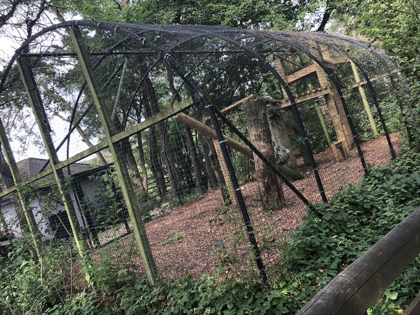 Snow Leopard Enclosure at Lakeland Wildlife Oasis (2020)