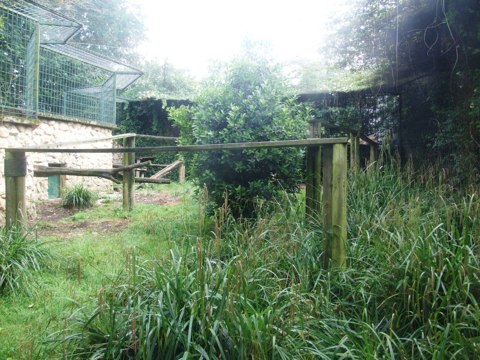 Snow Leopard Enclosure at Santillana del Mar, 13/06/15