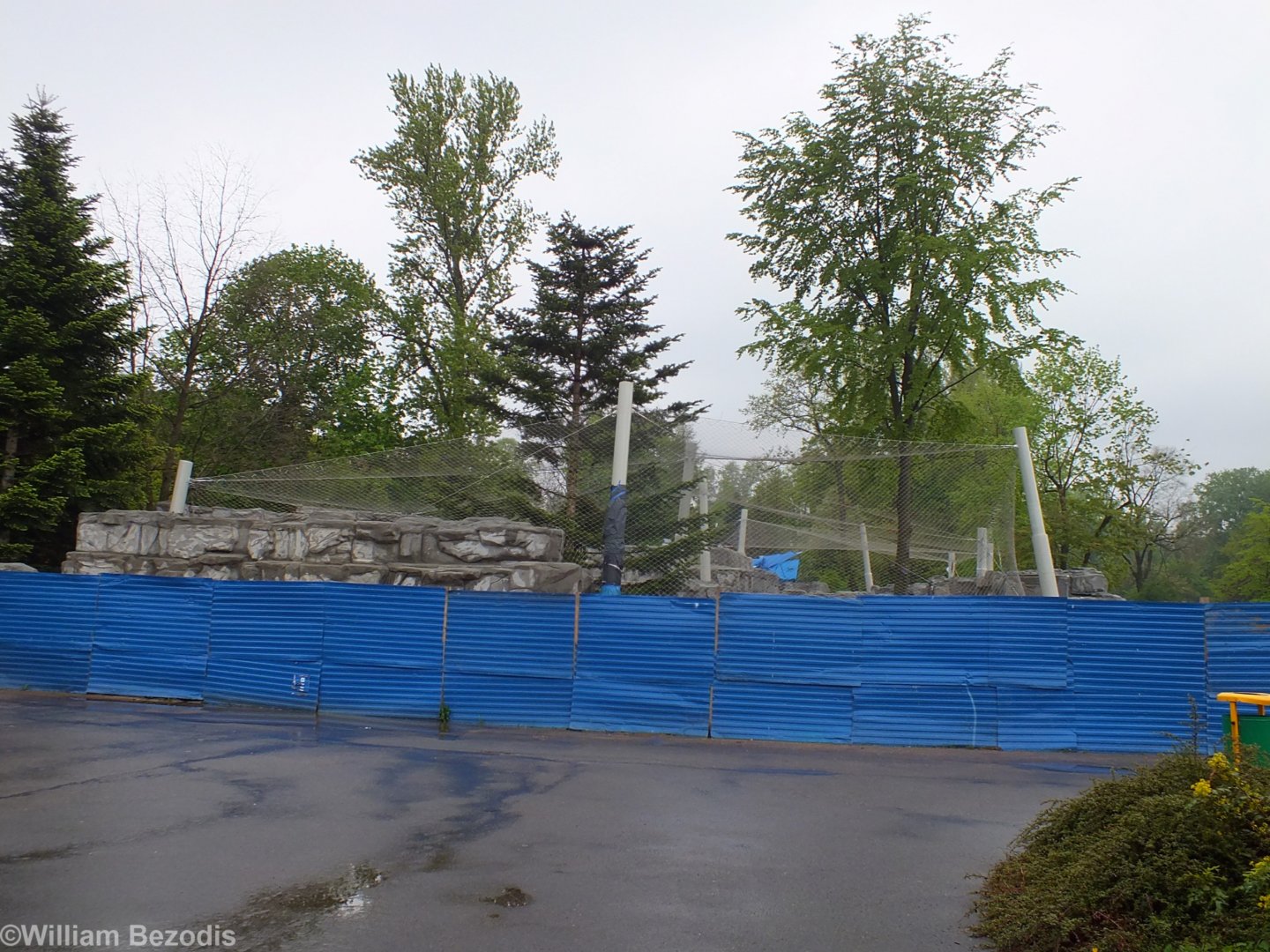 Snow Leopard Enclosure Construction Progress