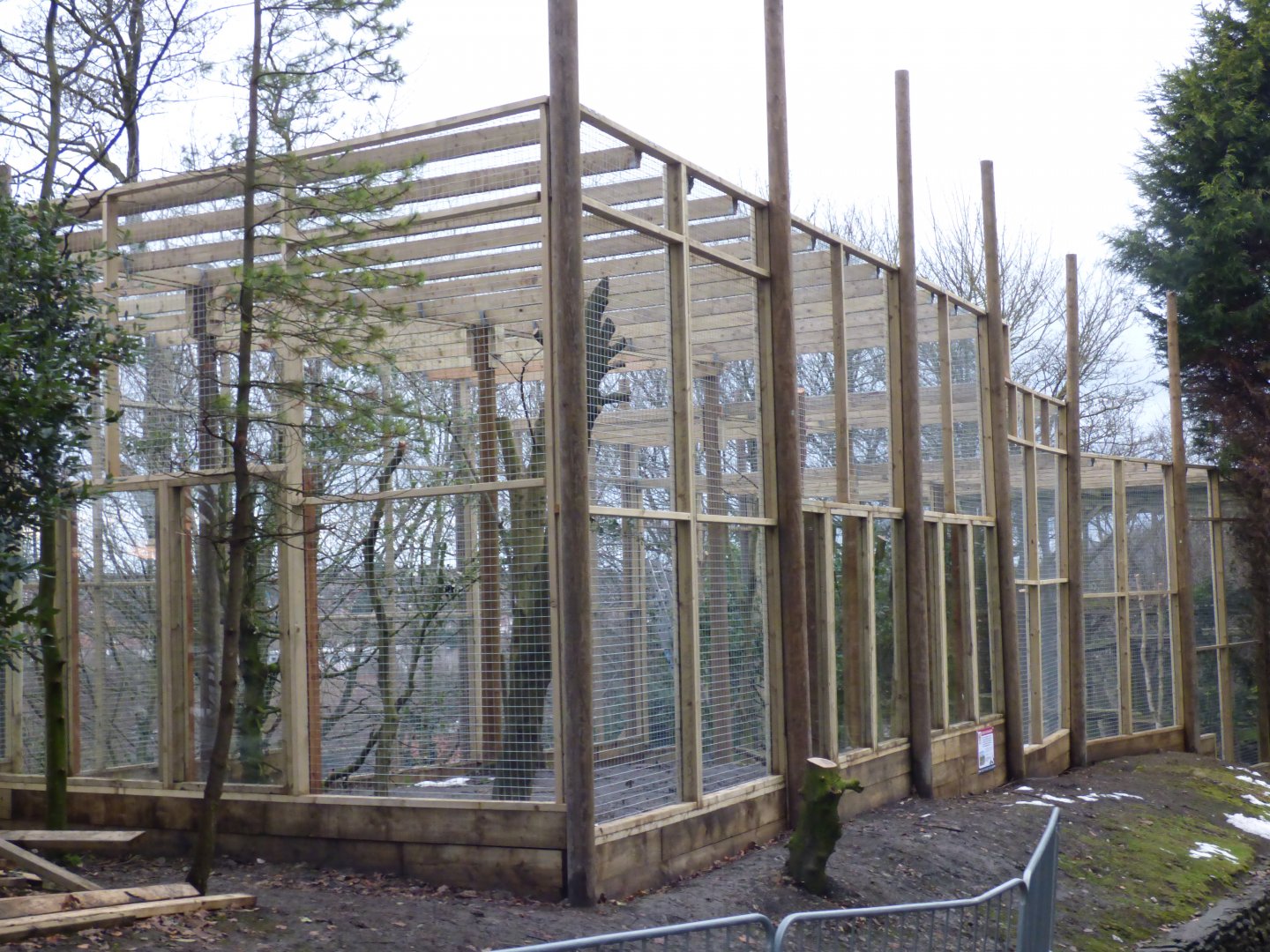 Snow Leopard enclosure extension