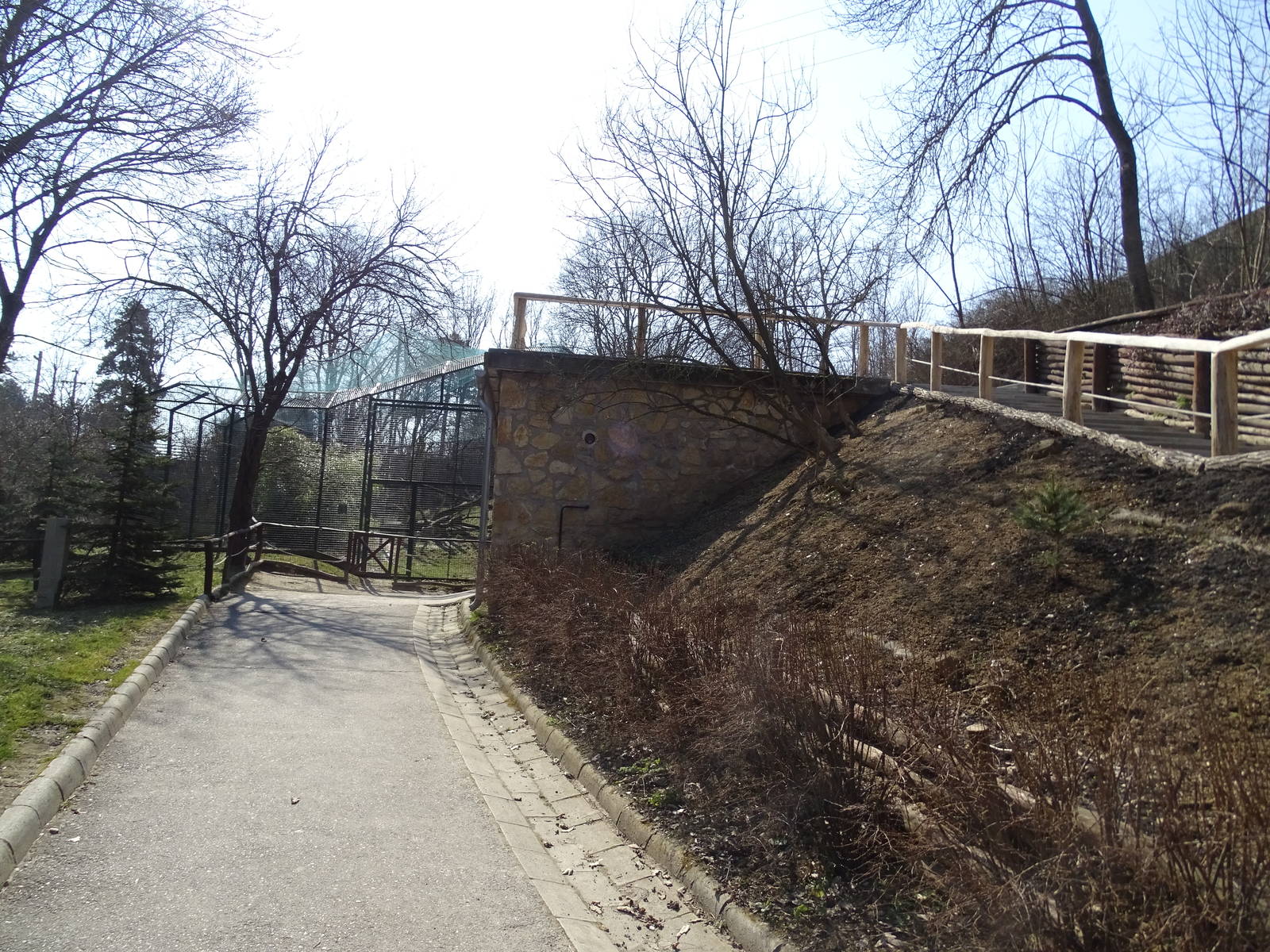 Snow leopard enclosure from below
