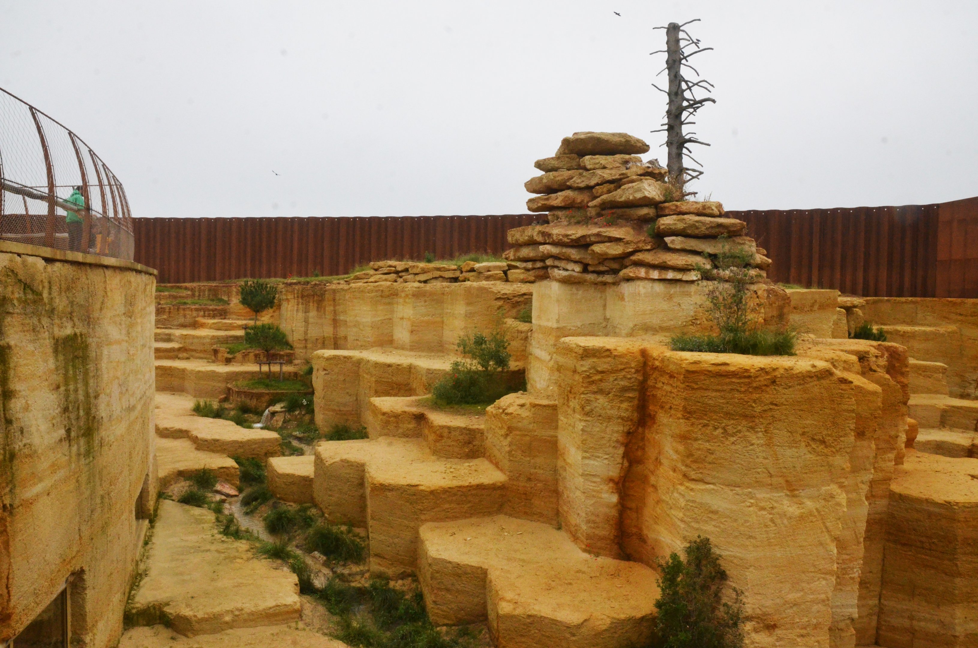 Snow Leopard Enclosure from Upper Viewing at Doué-la-Fontaine, 15/06/18