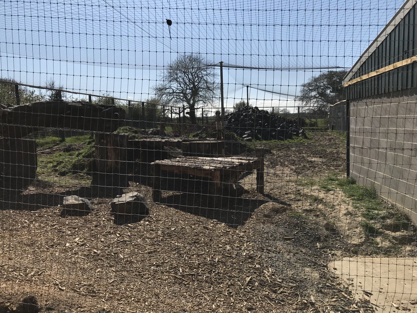 Snow Leopard Enclosure (Left)