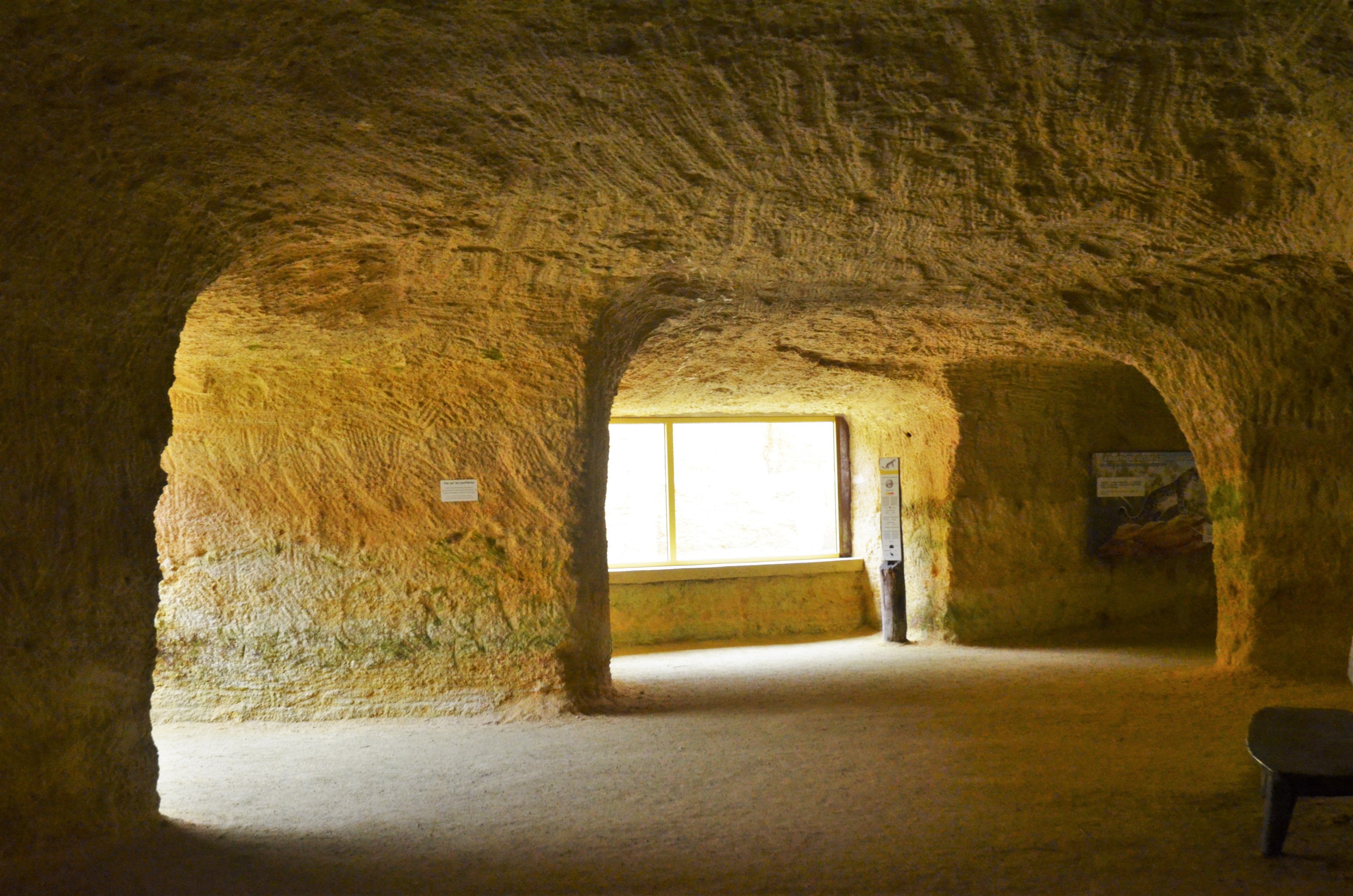 Snow Leopard Enclosure Lower Viewing at Doué-la-Fontaine, 15/06/18