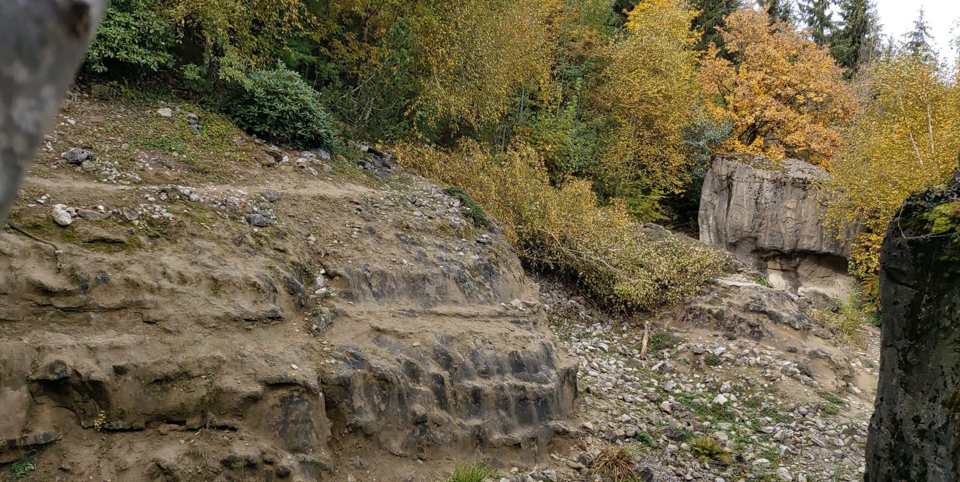 Snow leopard enclosure (October 2020)