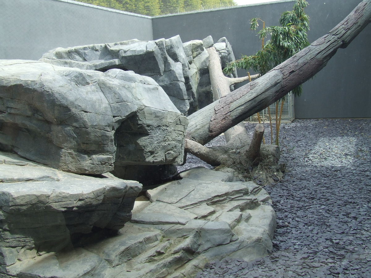 Snow Leopard enclosure, Rare Species Conservation Centre, Sandwich
