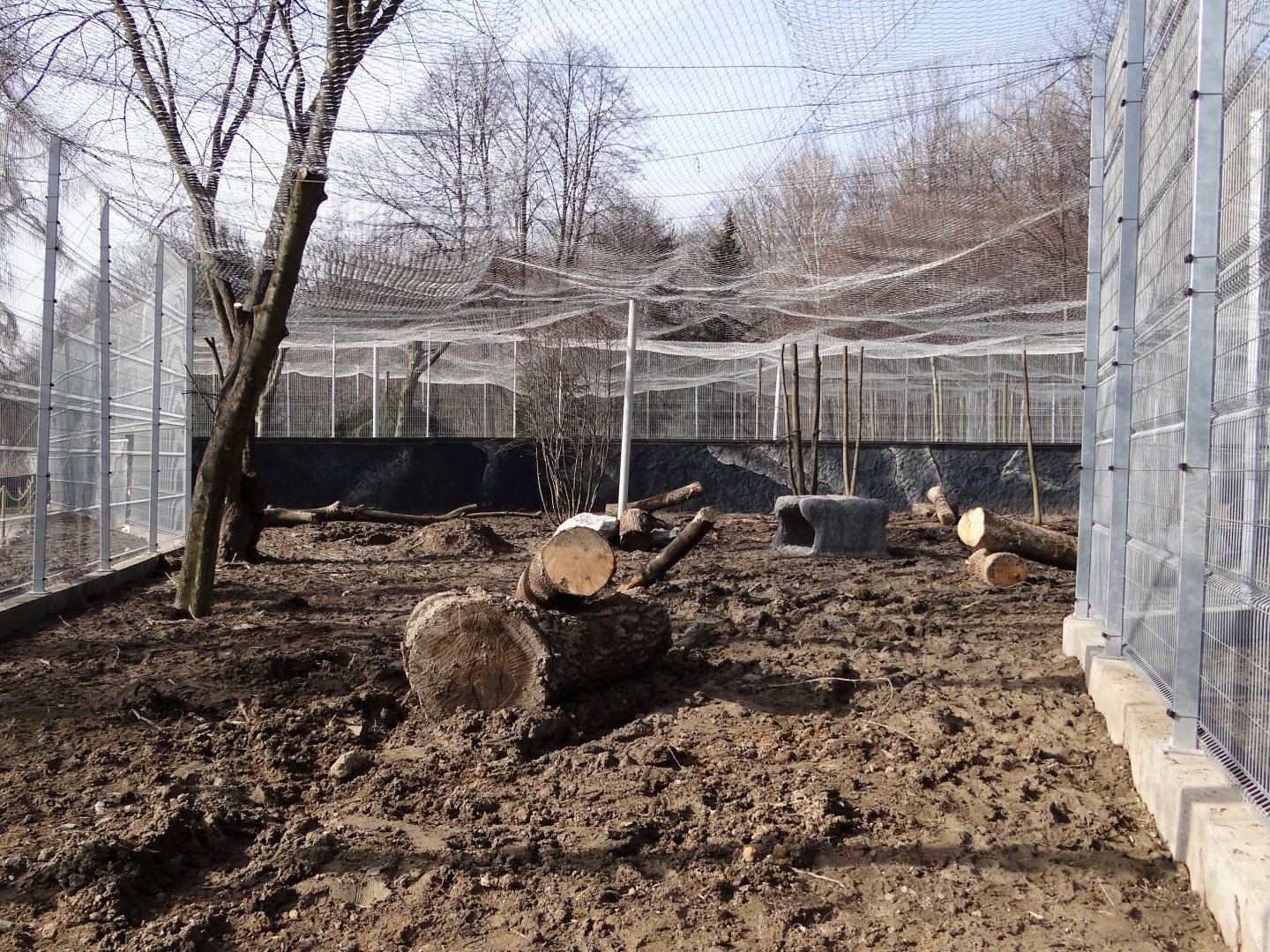 Snow leopard enclosure under consruction