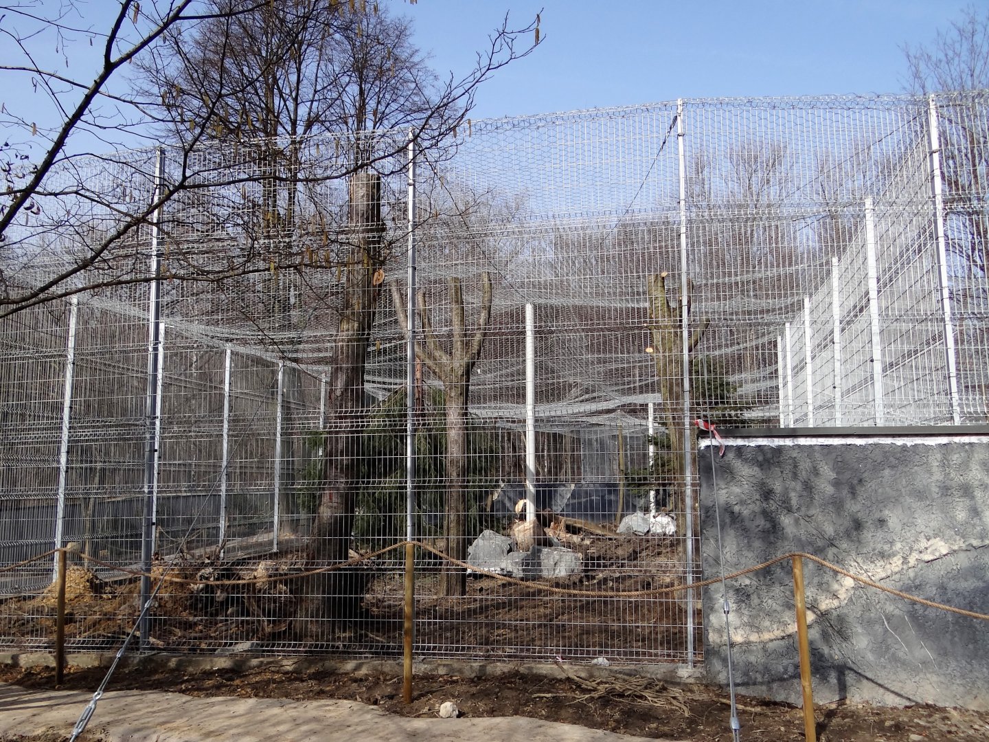 Snow leopard enclosure under consruction