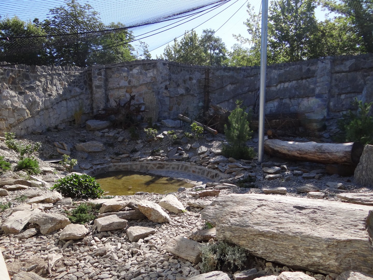 Snow Leopard enclosure under construction