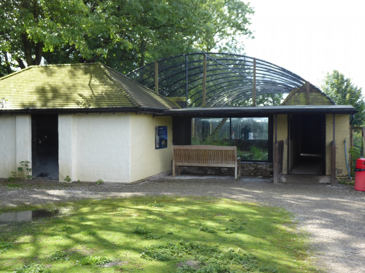 Snow leopard enclosure with walkthrough tunnel 010817