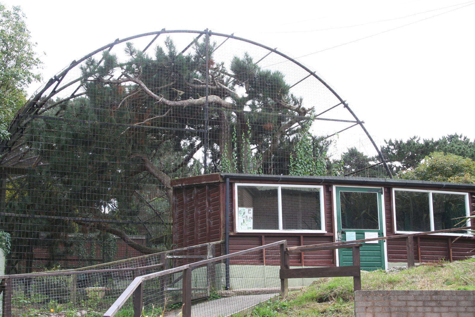 Snow leopard enclosure