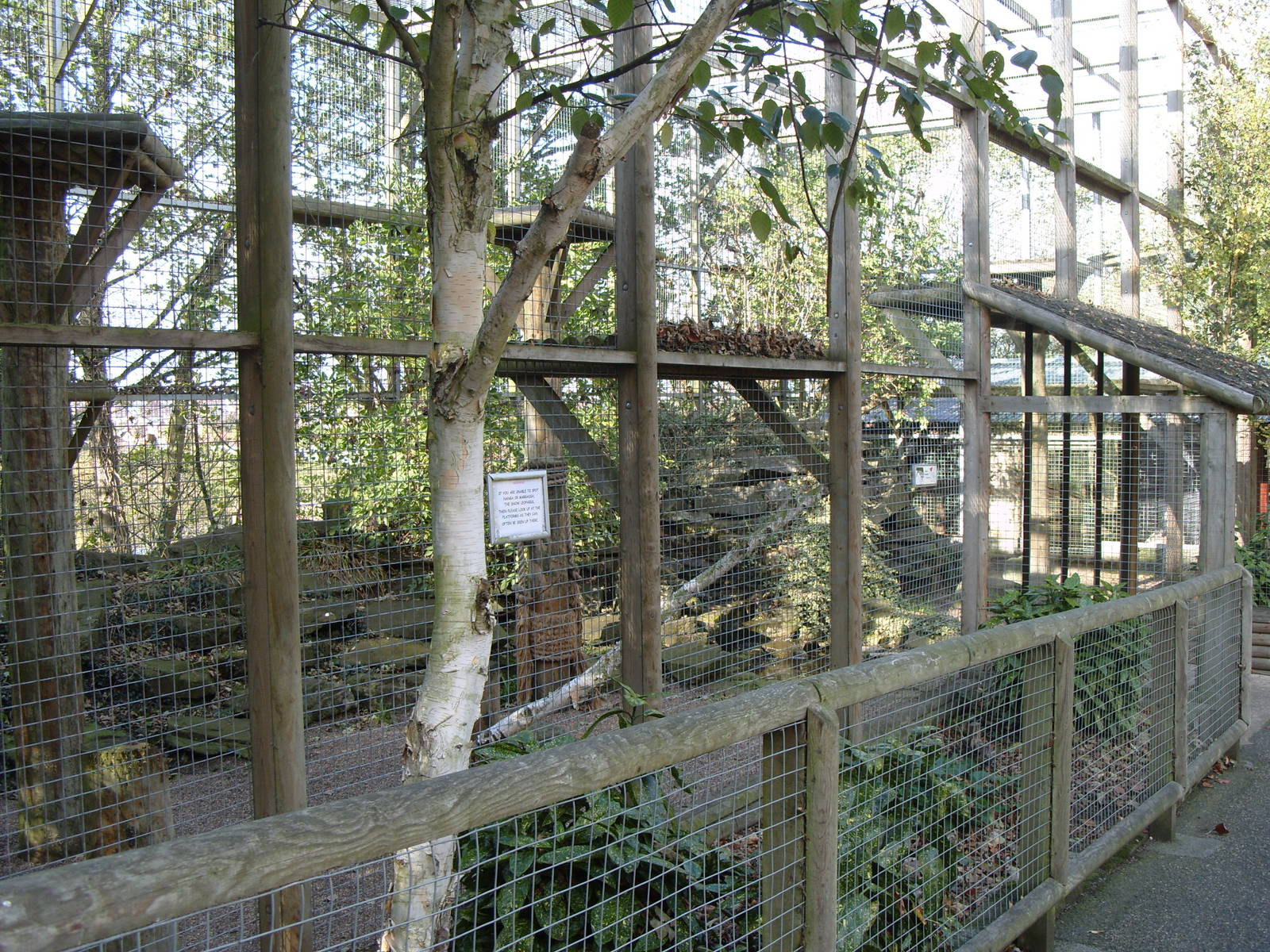 Snow Leopard Enclosure