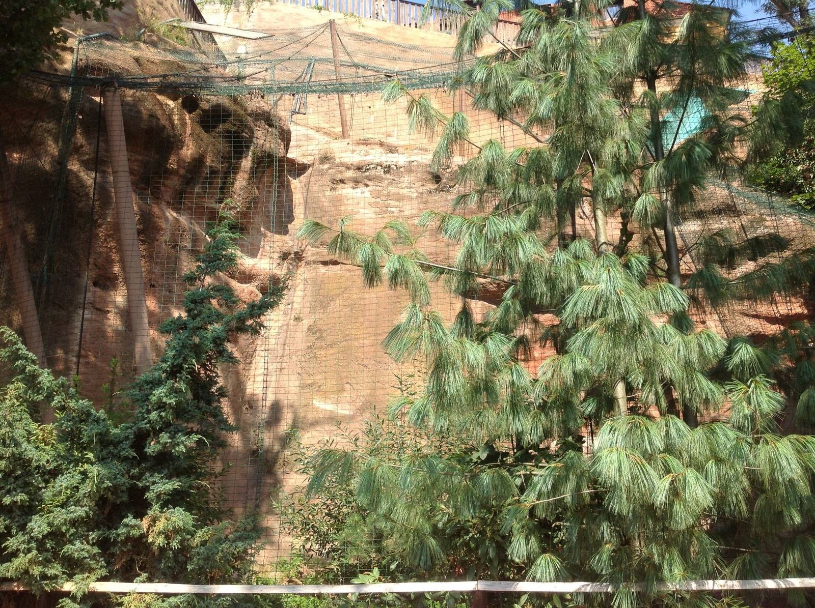 Snow Leopard enclosure