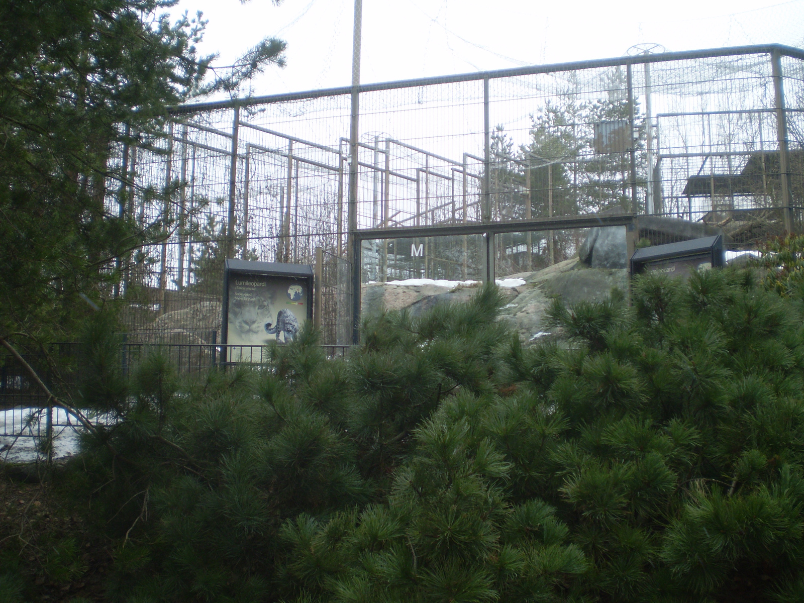 Snow leopard enclosure