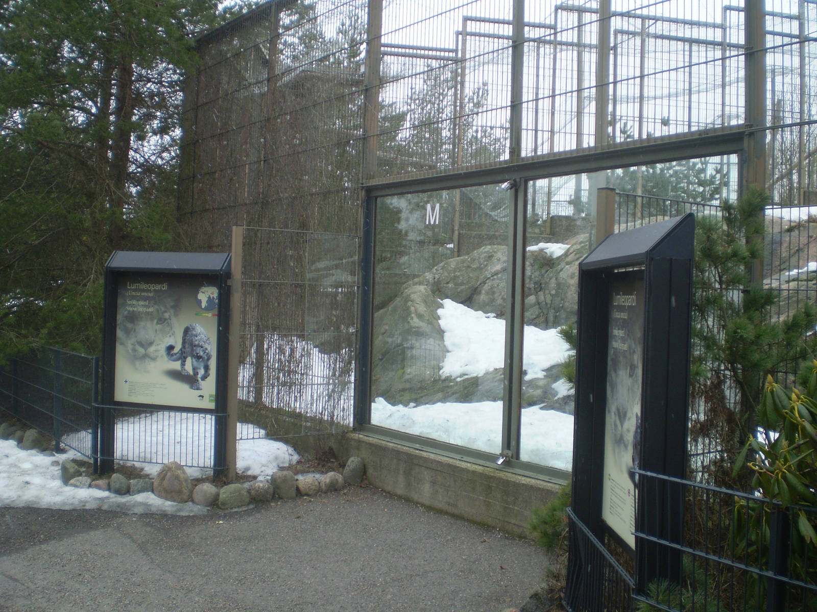 Snow leopard enclosure