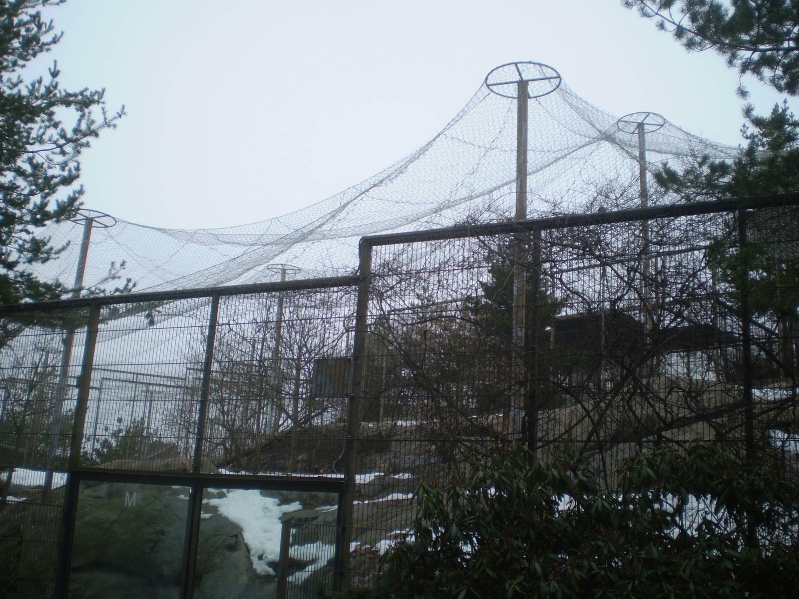 Snow leopard enclosure